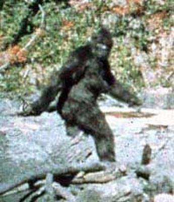 I am terrified of Bigfoot,even driving at night i check my mirrors.