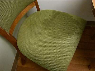 my cat went pee pee on my favorite chair and I cried about for 4 hours because it is permanently stained by his pee.