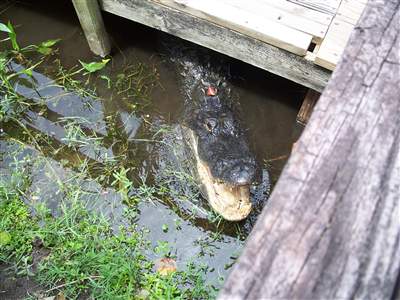 Married for 12 years, she says she has to find herself.A mirror didn't work.Took an airboat ride with her. Now I can't find her either!