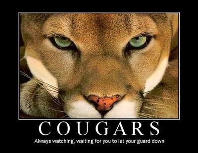 25 yrs, 10 jobs, 10 male bosses... slept with 7 of them.  I don’t and never will work for a female.  I’m now a cougar &amp; working on #8, he's 26... sweet!